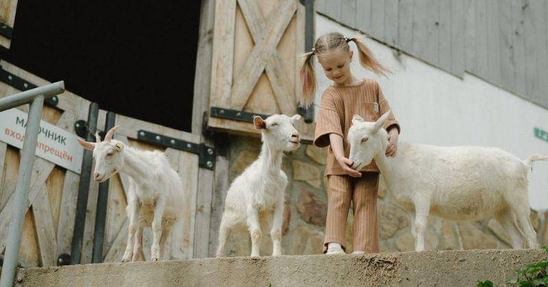 Pexels/Anastasia Shuraeva